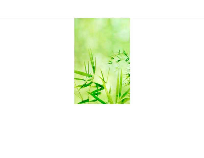 Nahaufnahme von grünen Bambusblättern mit unscharfem Hintergrund