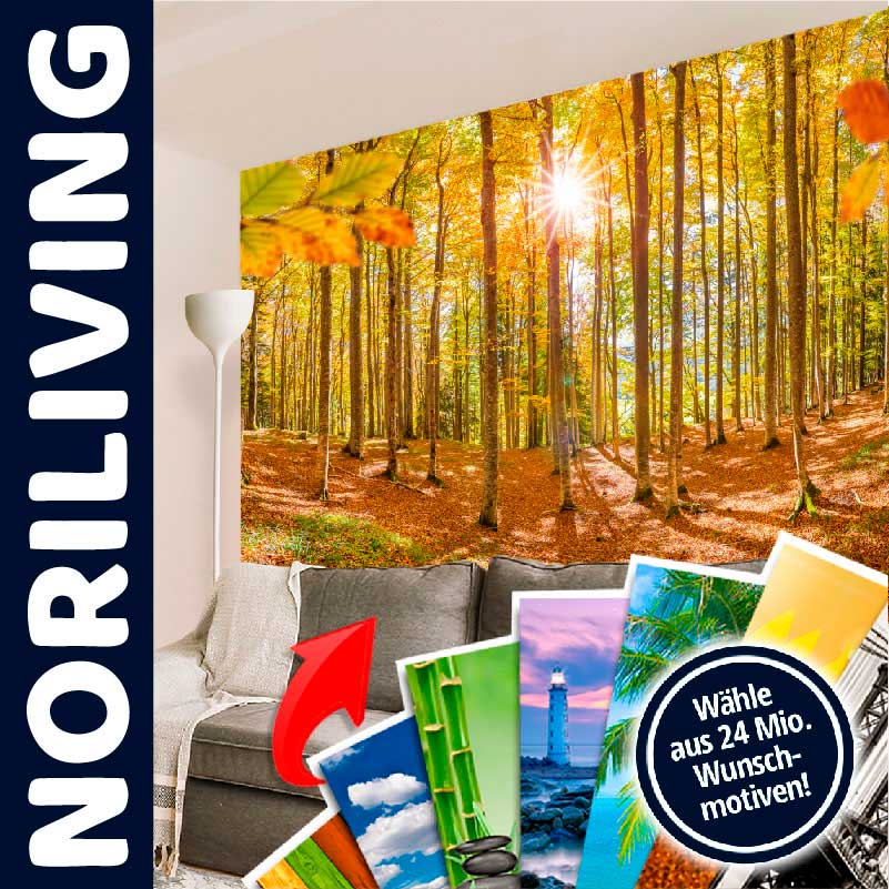 Noriliving Wanddekor mit herbstlichem Waldmotiv Gemütliches Wohnzimmer mit großem Wandbild eines herbstlichen Waldes, Sonne scheint durch die Bäume. Auswahl aus 24 Millionen Wunschmotiven von Noriliving.