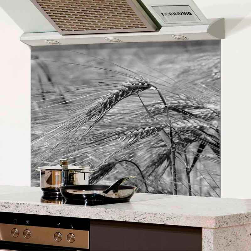 Küchenrückwand mit Bild von Getreidehalmen in einer modernen Küche
