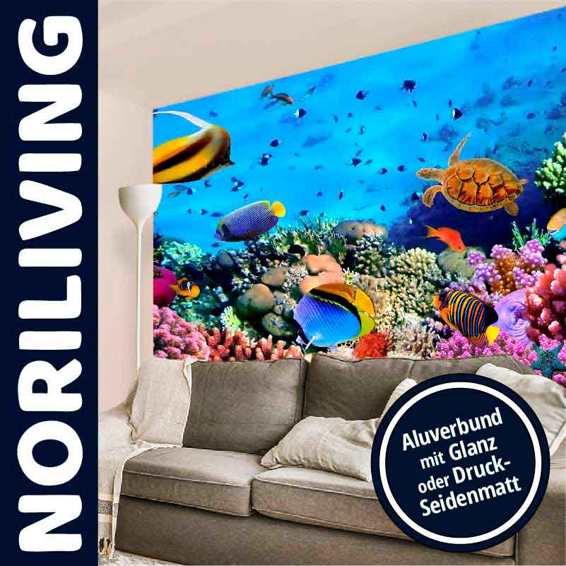 Unterwasser-Wandbild von Noriliving im Wohnzimmer im Aluverbund mit Glanz oder Druck-Seidenmatt Ein lebendiges Unterwasser-Wandbild von Noriliving im Wohnzimmer, mit farbenfrohen Fischen und Korallen. Erhältlich im Aluverbund mit Glanz oder Druck-Seidenmatt.