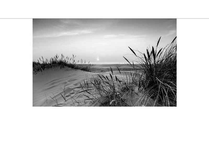 Schwarzweiß-Fotografie einer Dünenlandschaft mit Gras im Vordergrund und Sonnenuntergang im Hintergrund