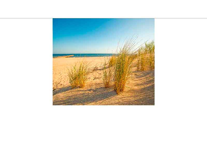 Landschaft mit Sanddüne, Strandhafer und blauem Himmel am Meer