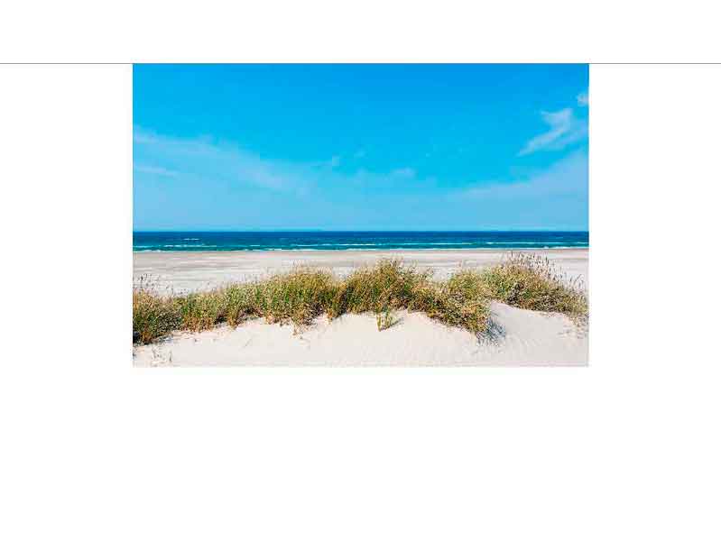 Ein ruhiger Strand mit Sanddünen und blauem Himmel im Hintergrund.