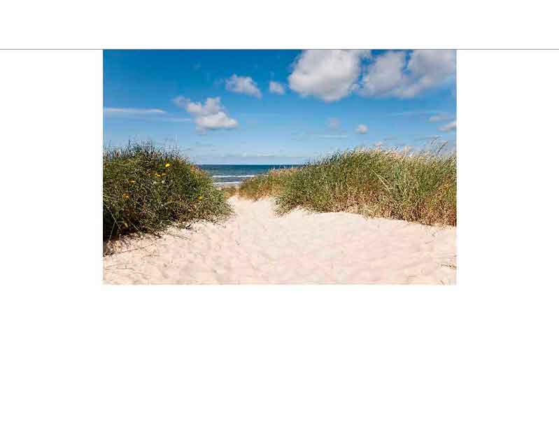 Sandiger Pfad führt zwischen Dünen zum Meer unter blauem Himmel