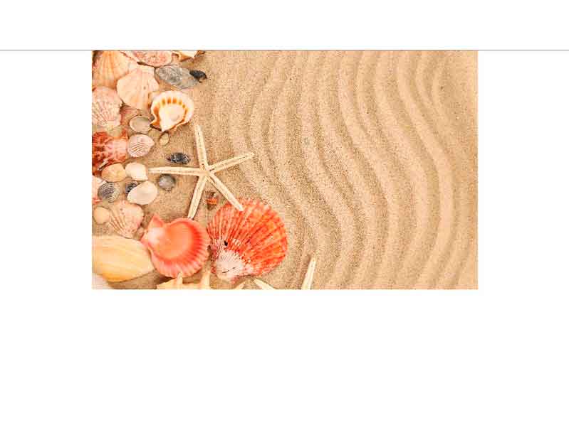 Muscheln und Seesterne auf welligem Sandstrand Verschiedene Muscheln und Seesterne liegen dekorativ auf einem welligen Sandstrand. Einige kleine Kieselsteine sind ebenfalls zu sehen.