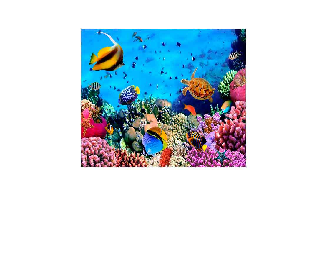 Bunte Unterwasserwelt mit Korallen und Fischen Vielfältige Meereslebewesen und leuchtende Korallen in einer tropischen Unterwasserwelt