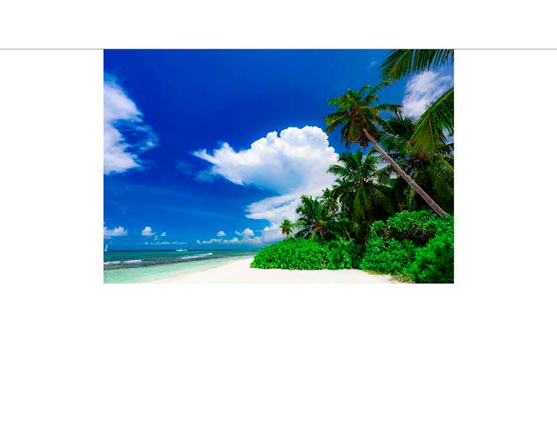 Ein idyllischer Strand mit weißen Sand, grünen Palmen und einem klaren, blauen Himmel
