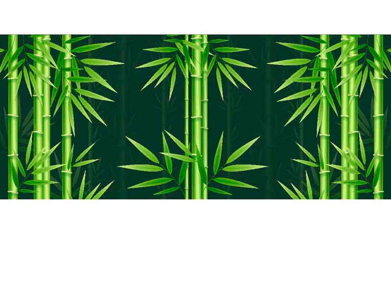 Illustration von mehreren grünen Bambusstielen und Blättern auf dunkelgrünem Hintergrund