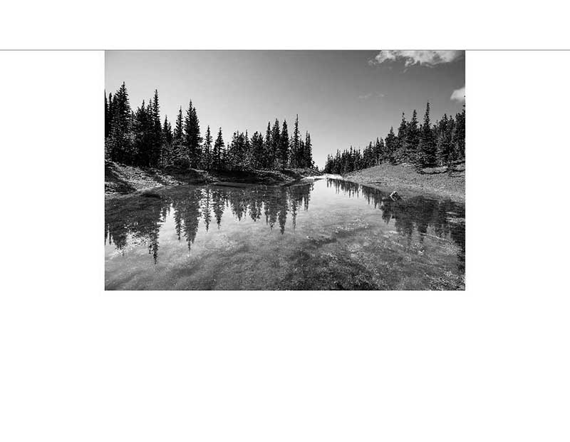 Schwarz-Weiß-Fotografie eines ruhigen Sees mit Spiegelung der Bäume Eine ruhige, schwarz-weiße Landschaft mit einem See und Bäumen, die sich im Wasser spiegeln.