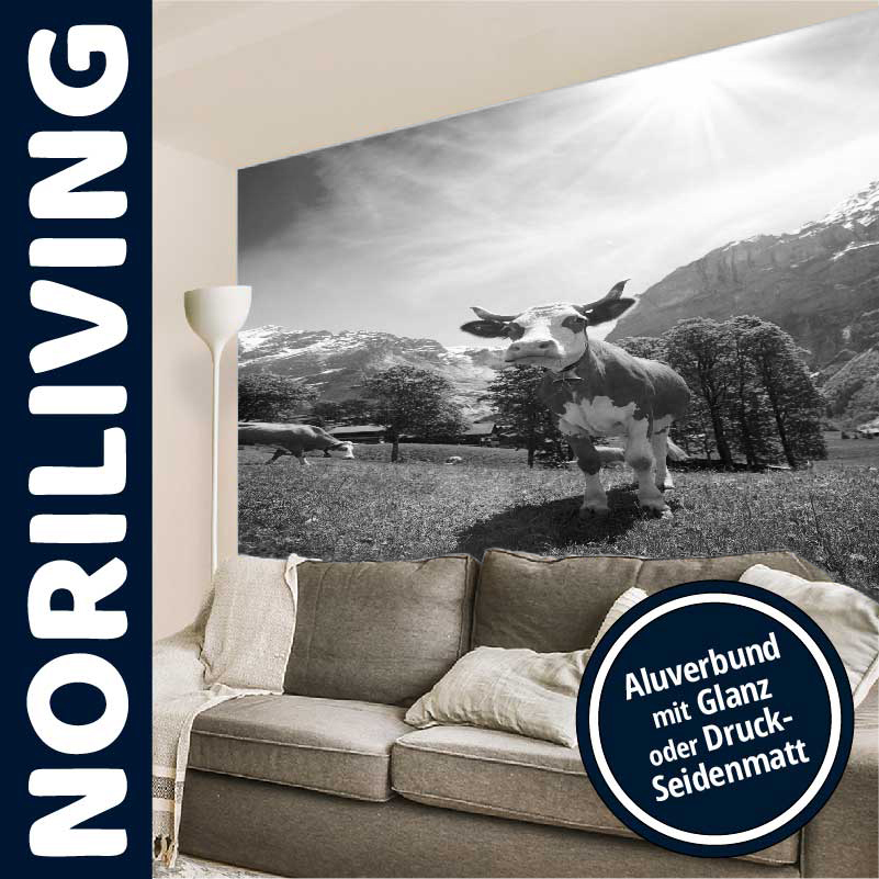 Schwarz-Weiß Fototapete mit Kuh und Alpenpanorama - Noriliving Wanddekoration mit Aluverbund, zeigt Kuh auf Bergwiese vor Alpenkulisse, auf Sofa im Wohnzimmer