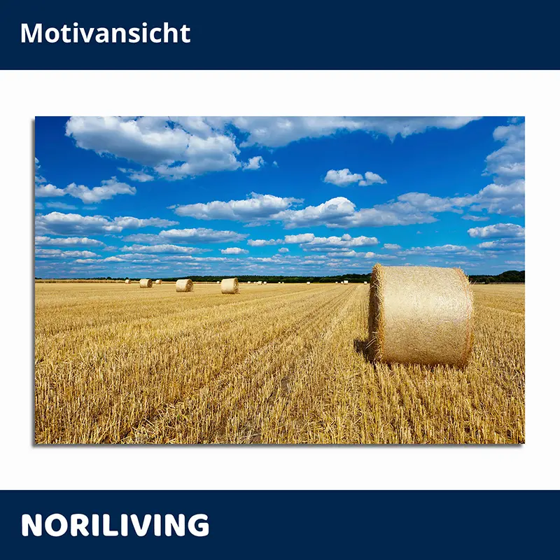 Rundballen auf geerntetem Feld bei klarem Himmel