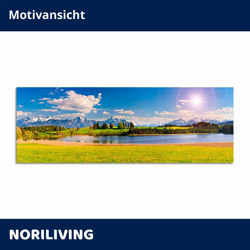 Panoramabild See, grüne Wiese und schneebedeckte Berge