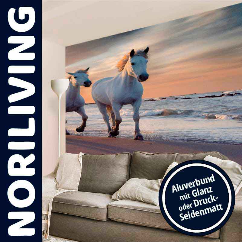 Fototapete mit Pferdemotiv für Wohnzimmer in Aluverbund-Ausführung Wohnzimmer mit grauem Sofa und großer Fototapete von zwei weißen Pferden am Strand im Sonnenuntergang, angeboten von NORILIVING mit Aluverbund in Glanz oder Druck-Seidenmatt.