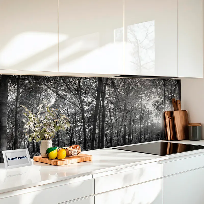Küchenrückwand Alu Wald mit Sonnenschein 123 schwarz-weiß