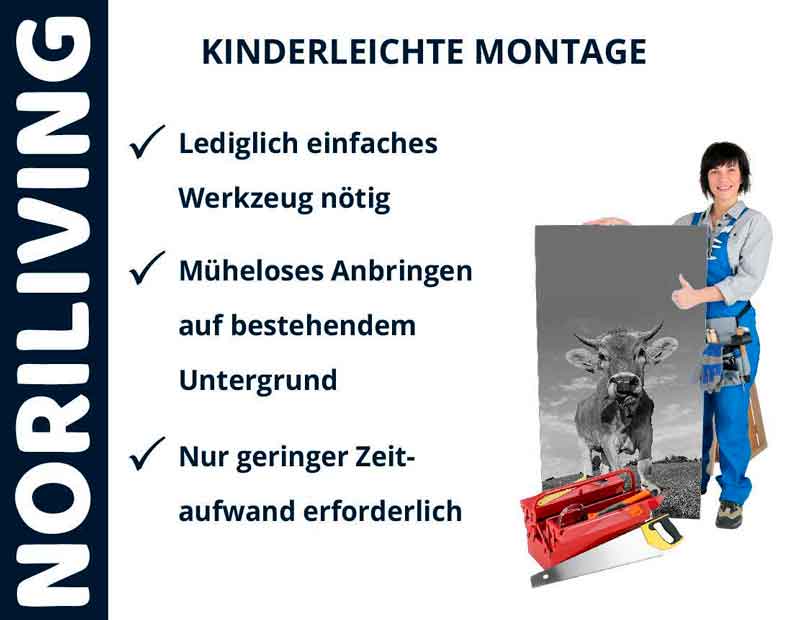 Poster mit kinderleichter Montageanleitung von Noriliving Ein Mann präsentiert ein Poster mit einer kinderleichten Montageanleitung von Noriliving, inklusive Highlights wie mühelose Anbringung und minimaler Zeitaufwand.