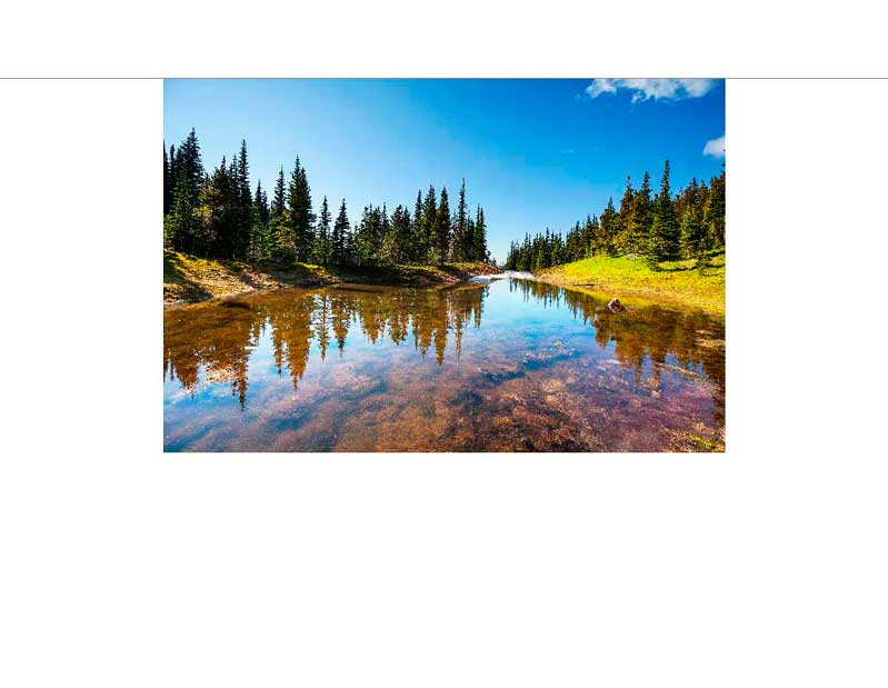 Ein ruhiger Bergsee, der die Bäume des umgebenden Waldes und den blauen Himmel reflektiert