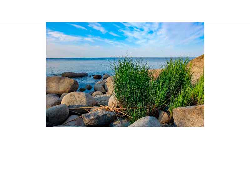 Küstenblick mit Steinen und Gras am Meer Naturaufnahme von großen Steinen und Gras am Meeresufer unter blauem Himmel