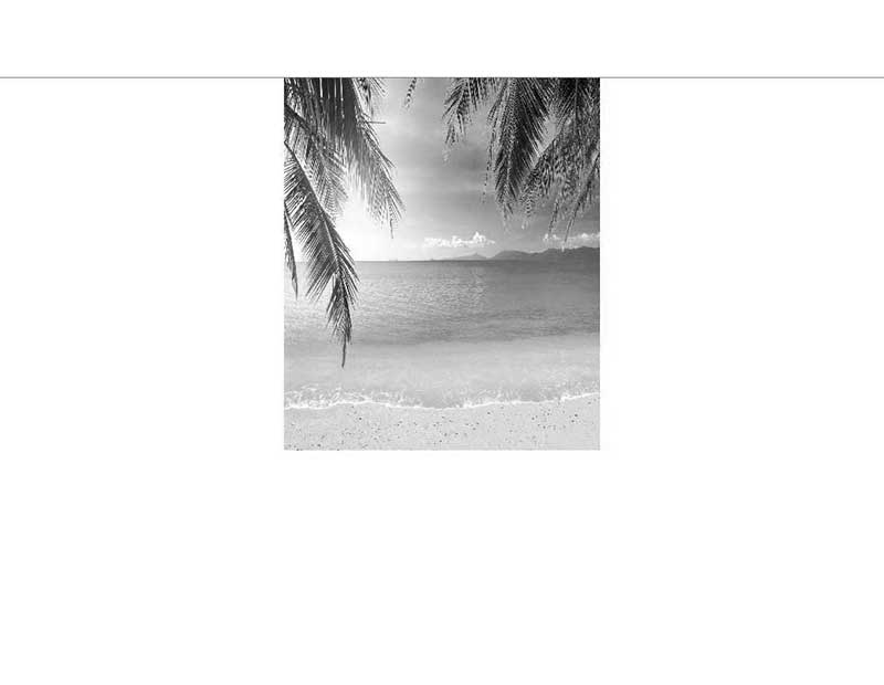 Schwarzweiß-Foto eines Strandes mit Hängematte und Palmen
