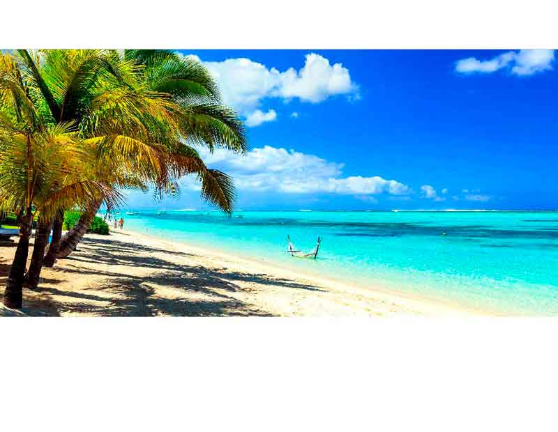 Tropischer Sandstrand mit Palmen und strahlend blauem Himmel am Meer