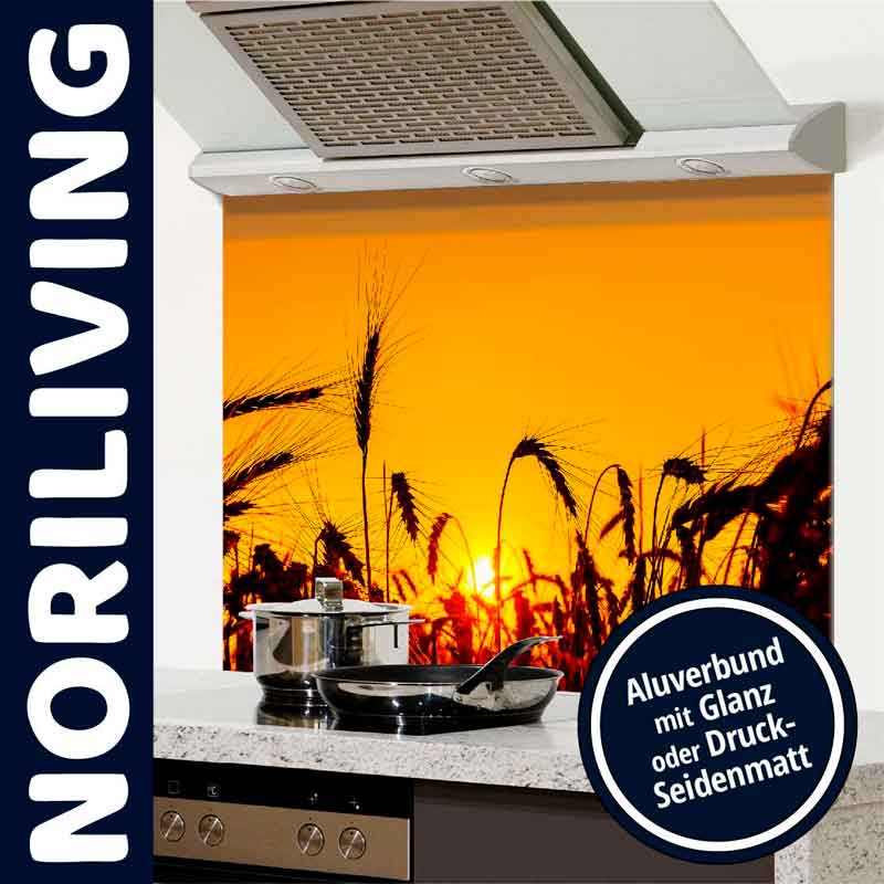KÃ¼chenrÃ¼ckwand mit Sonnenuntergang-Motiv, Alubond, glÃ¤nzend oder seidenmatt, von Norliving