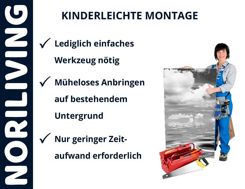 NORILIVING Wandmontage mit einfachem Werkzeugaufwand
