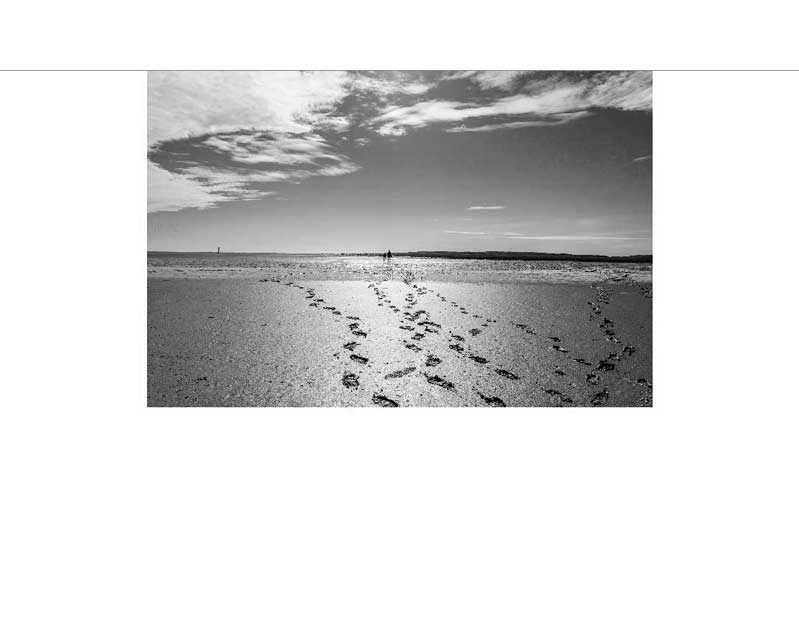 Schwarzweiß-Foto von Fußspuren im nassen Sand, die in Richtung Meer führen, mit einem bewölkten Himmel im Hintergrund