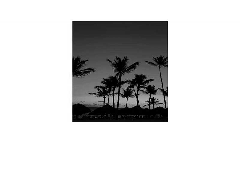 Silhouette von Palmen vor einem Abendhimmel am Strand