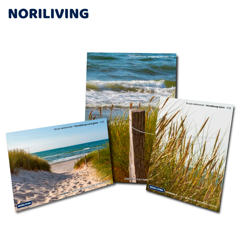 Drei Postkarten von Noriliving mit Strandlandschaften und Dünen