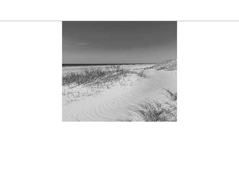 Ein ruhiger, naturbelassener Sandstrand mit Dünen und Gras unter einem klaren Himmel.