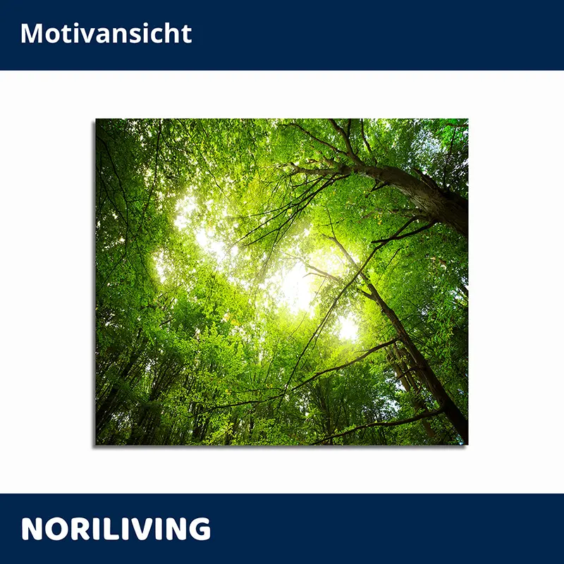 Grüner Wald von unten, Sonnenlicht durch Blätter