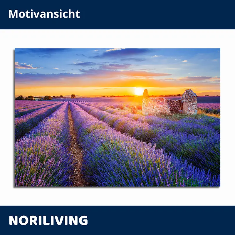 Lavendelfeld mit Ruine und untergehender Sonne