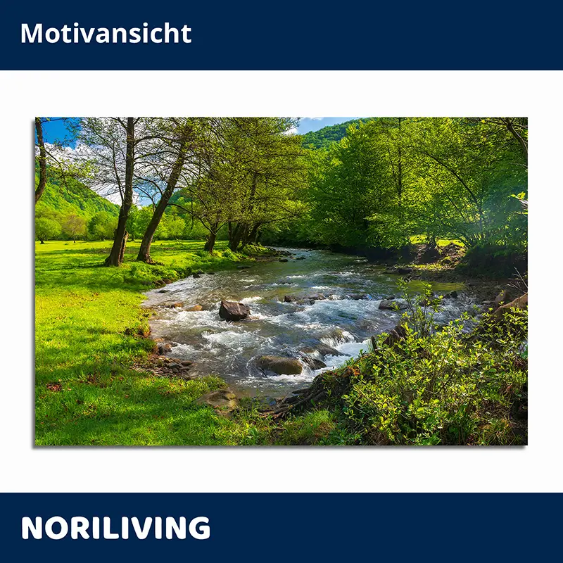 Fließender Bach durch sonnige Wiese und Bäume