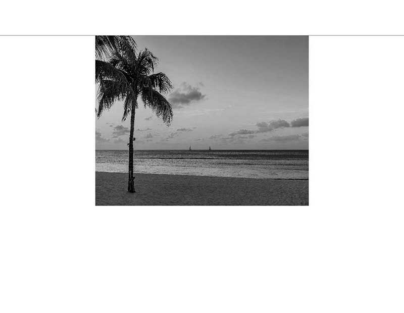 Eine Palme steht einsam am Strand, während Segelboote in der Ferne auf dem Ozean zu sehen sind, aufgenommen in Schwarz-Weiß.