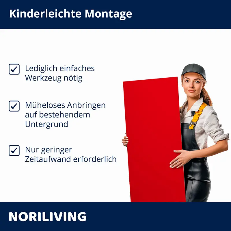 Frau mit roter Platte, Hinweise zur einfachen Montage