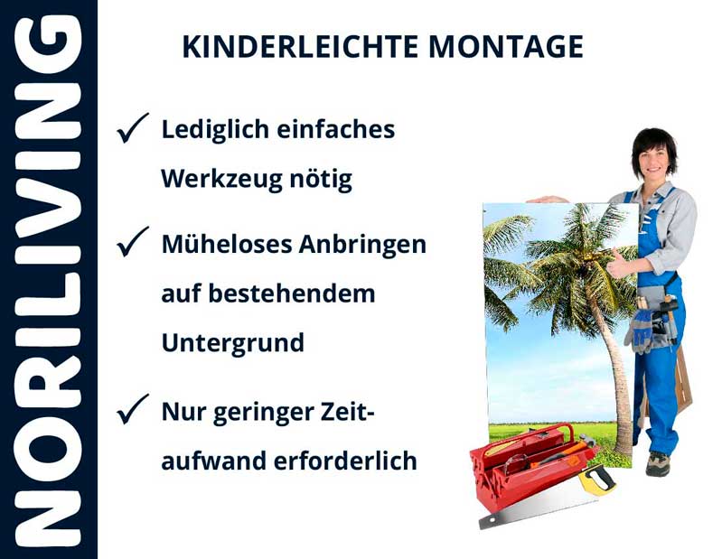 Noriliving Werbung: Frau mit Bild und kinderleichte Montageanweisungen