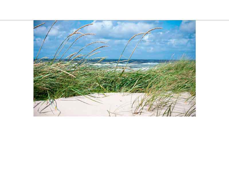 Dünenlandschaft mit Blick auf das Meer unter blauem Himmel Grüne Dünen und Meer bei sonnigem Wetter mit blauem Himmel im Hintergrund