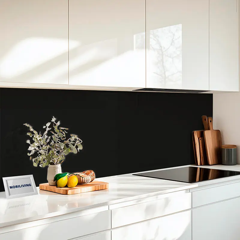 Küchenrückwand Acrylglas Unifarbe Schwarz 2329