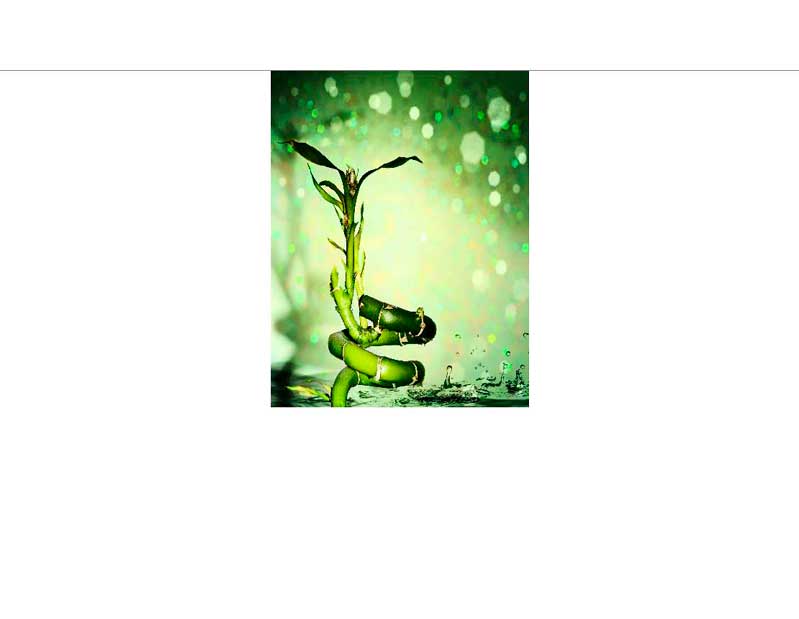 Frischer grüner Bambus mit Wassertropfen vor glitzerndem Hintergrund Grüner Bambus, umgeben von schimmernden Lichtpunkten und Tropfen, Symbol für Natur und Frische