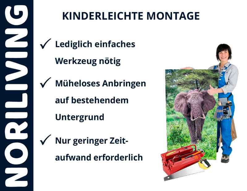 NORILIVING - Kinderleichte Montage von Wandbildern NORILIVING-Werbung: einfache Montage von Wandbildern, Frau mit Elefantenbild, minimaler Zeitaufwand, leichtes Werkzeug erforderlich.
