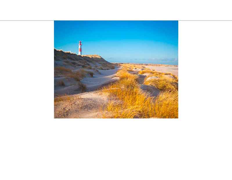 Ein Leuchtturm steht in einer sandigen Dünenlandschaft unter einem klaren blauen Himmel, umgeben von gelbem Gras.