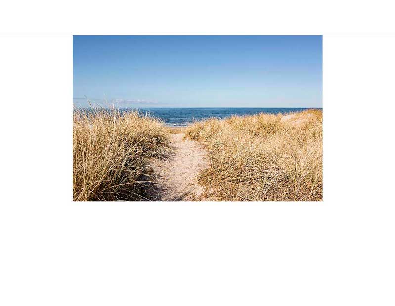 Sandschotterpfad führt durch hohe Dünen zum Meer