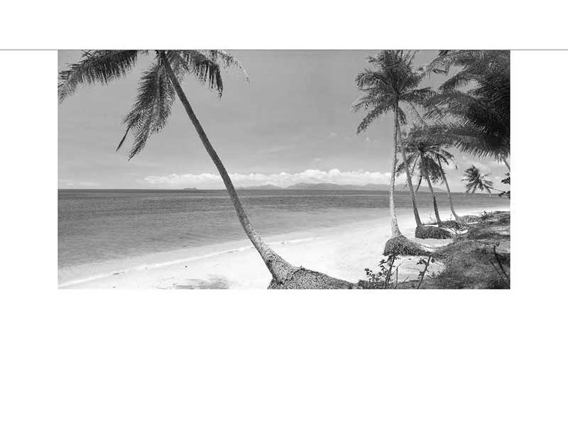 Ein tropischer Strand mit Palmen am Meer in Schwarzweiß