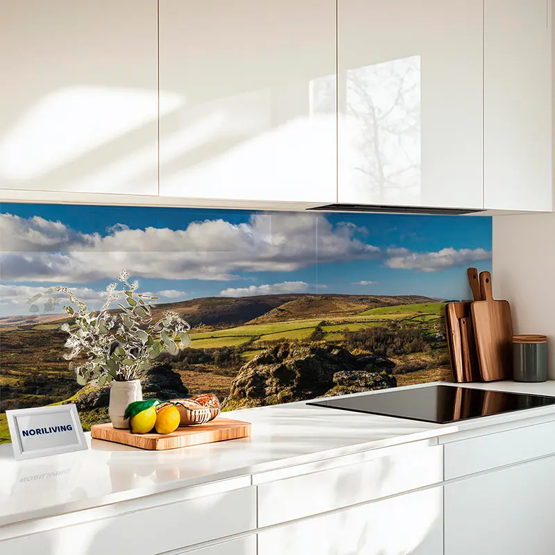 Küchenrückwand Alu Wüstenlandschaft im Dartmoor Park England 402