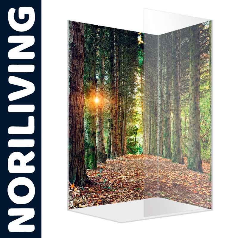 Glasdusche mit Waldmotiv - NORILIVING Glasdusche mit Naturmotiv, zeigt einen Waldpfad mit Sonnenlicht, Produkt von NORILIVING