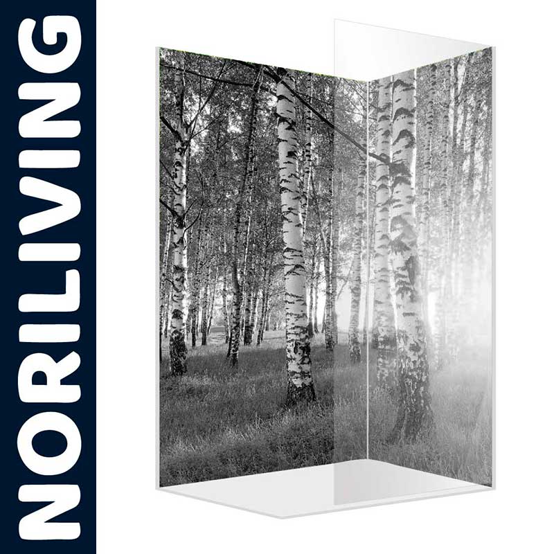 Duschabtrennung mit Birkenwald-Motiv in Schwarz-Weiß - Elegant und Zeitlos Duschabtrennung mit schwarz-weißem Birkenwald-Motiv vor einem transparenten Hintergrund, Marke Noriliving